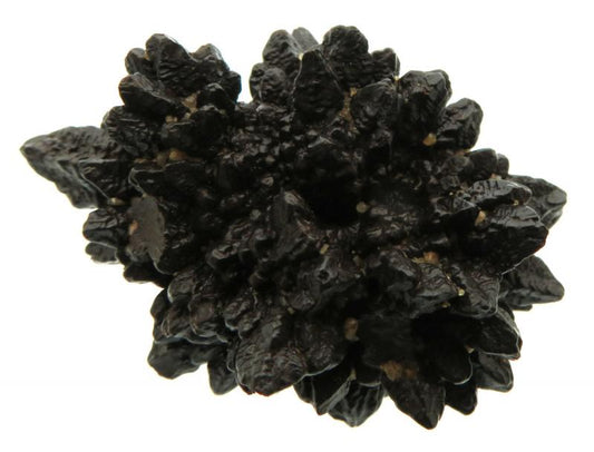 Pseudomorph Prophecy Stone Specimen 01