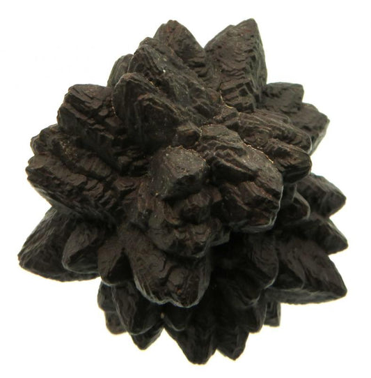 Pseudomorph Prophecy Stone Specimen 06