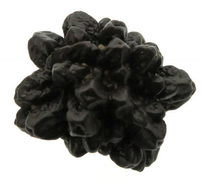 Pseudomorph Prophecy Stone Specimen 08