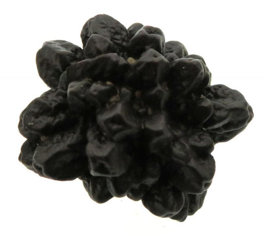Pseudomorph Prophecy Stone Specimen 08