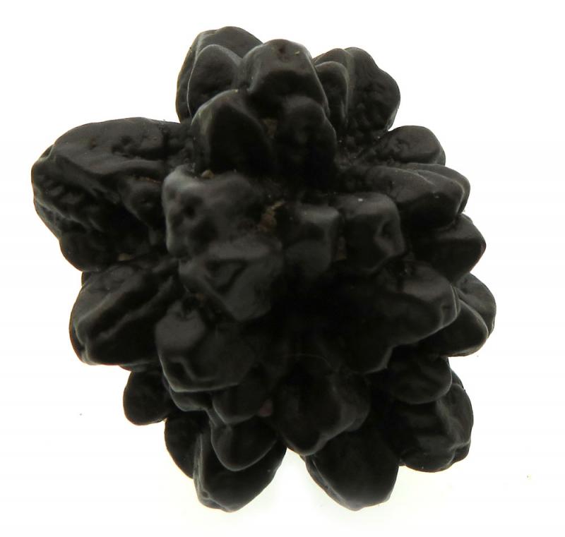 Pseudomorph Prophecy Stone Specimen 08