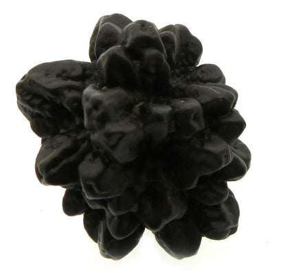Pseudomorph Prophecy Stone Specimen 08