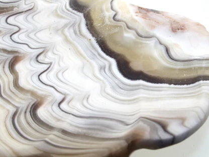 Mexican Onyx Scalloped Altar Dish 09