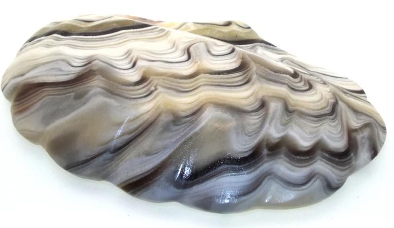 Mexican Onyx Scalloped Altar Dish 09