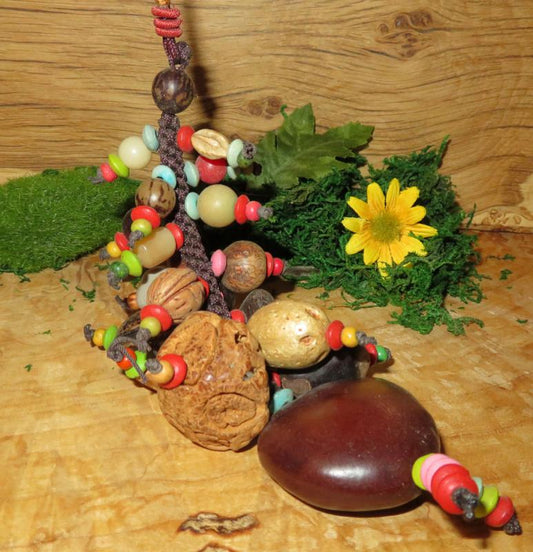 Natural Seed Protection Mobile