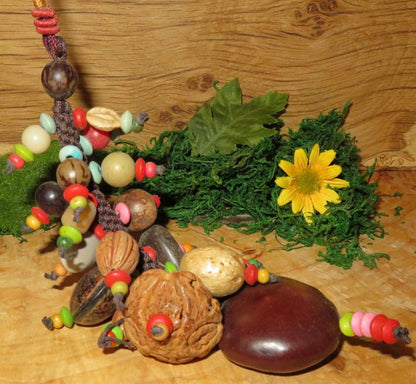 Natural Seed Protection Mobile