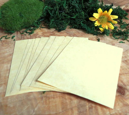 12 x Parchment Paper 70x50mm
