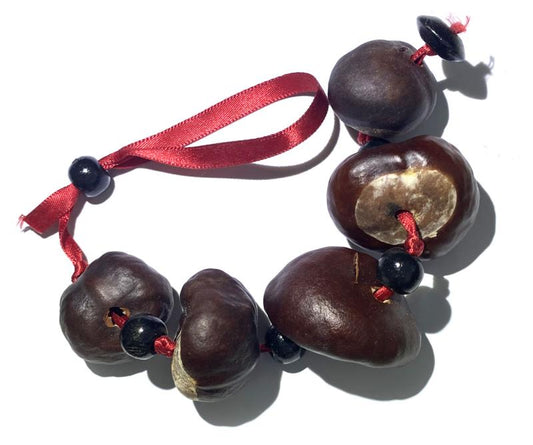 Witches Horse Chestnut Charm