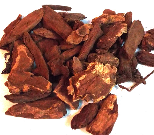 25gms Jezebel Root