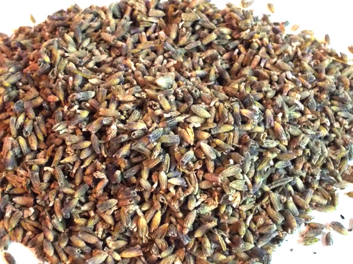 10gms Lavender Flowers