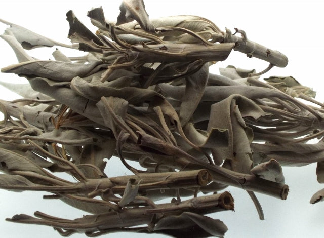 25gms Sacred White Sage Herb