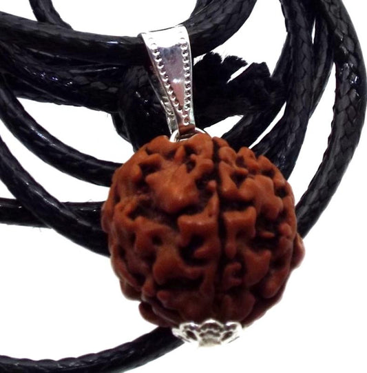 Rudraksha Sacred Seed Pendant