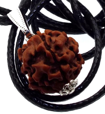 Rudraksha Sacred Seed Pendant