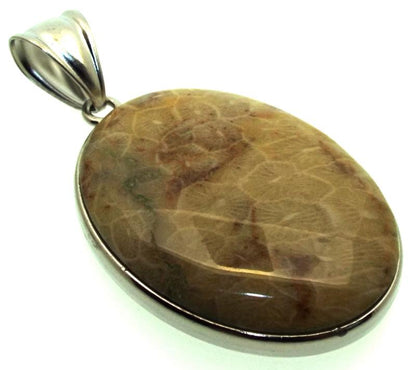 Fossilised Agate Coral Pendant
