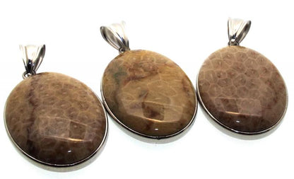 Fossilised Agate Coral Pendant