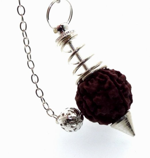 Silver Tone Rudraksha Lord Shiva Sacred Seed of Tibet Pendulum