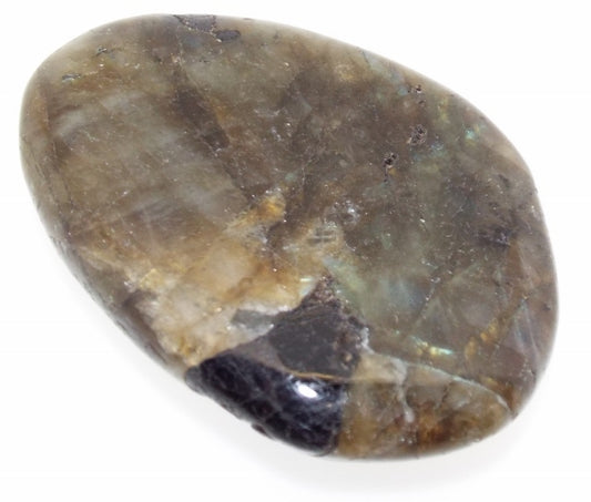 Labradorite Large Palmstone 11