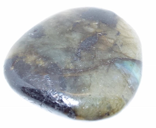 Labradorite Large Palmstone 13