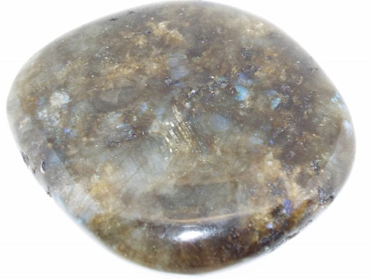 Labradorite Large Palmstone 20