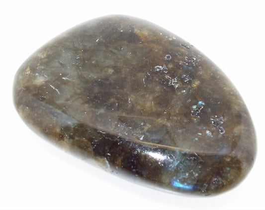 Labradorite Large Palmstone 4