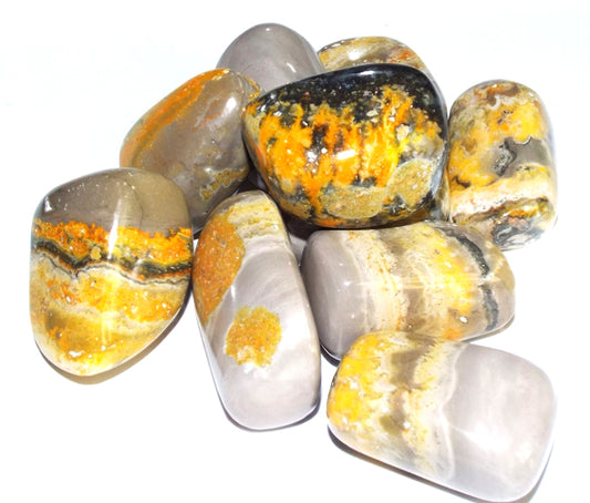 1 x Large Bumble Bee Jasper Tumblestone