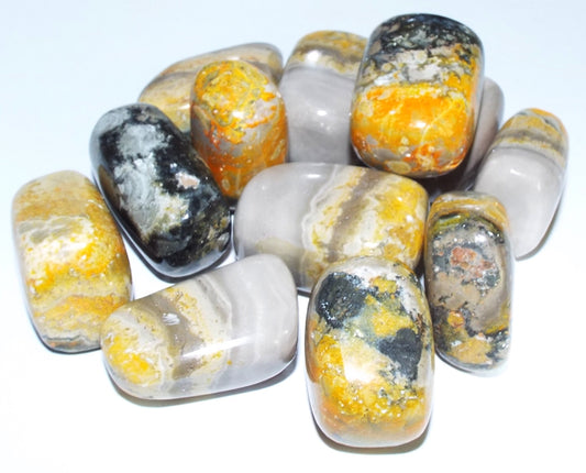 1 x Medium Bumble Bee Jasper Tumblestone