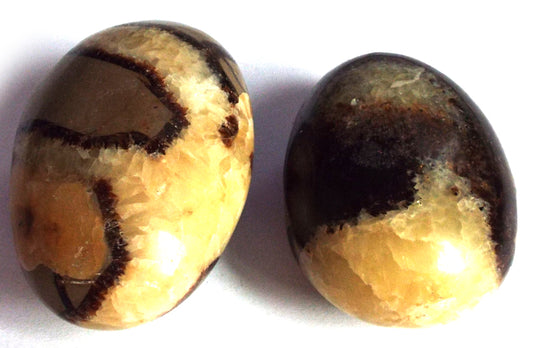 1 x Extra Large Septarian Tumblestone
